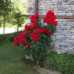 فيلة Maria, Complex Aleksandria