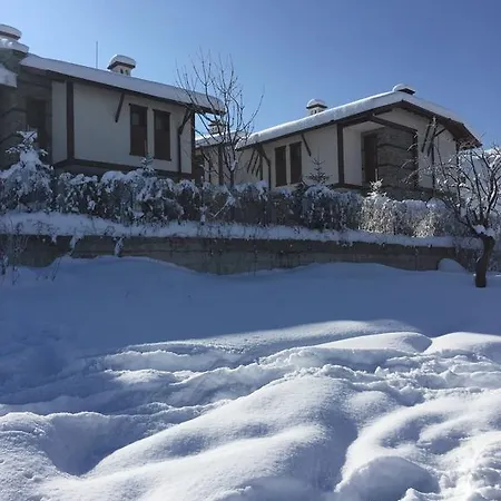 Maria, Complex Aleksandria