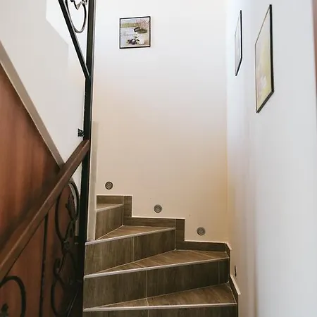 Maria, Complex Aleksandria * Dobriniste