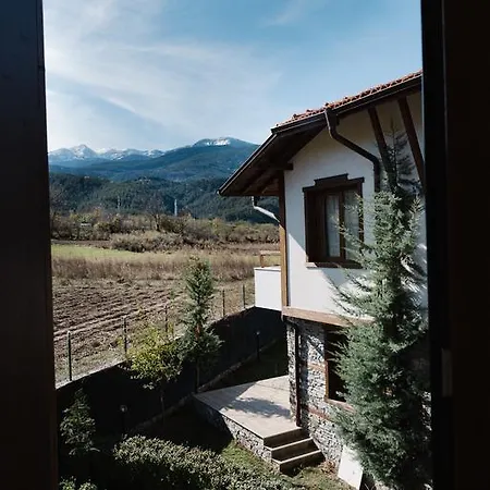 Villa Maria, Complex Aleksandria