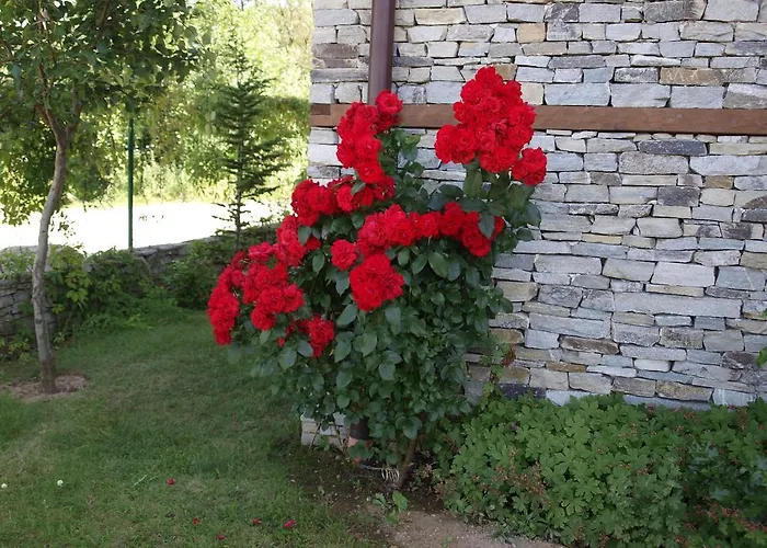 Villa Maria, Complex Aleksandria